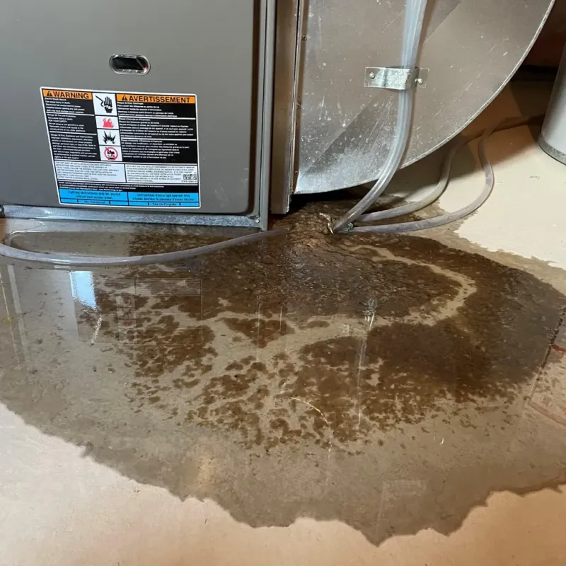 Appliance Leak Cleanup in Grantsville, UT